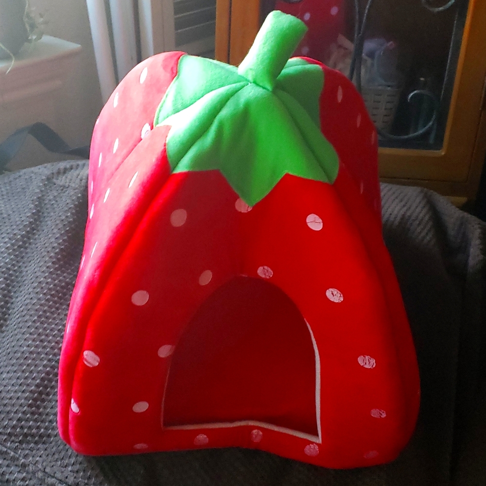 Sale! Strawberry-Shaped House Pet Kennel